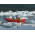 Customer Review Photo - 14' Saturn Cataraft (CT430) Tubes on Glacial Water in Alaska