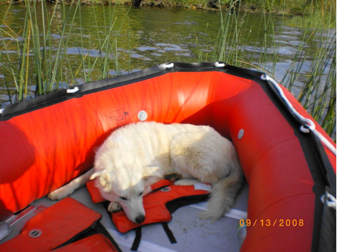 Customer Photo - 14' Saturn Inflatable Boat - Red